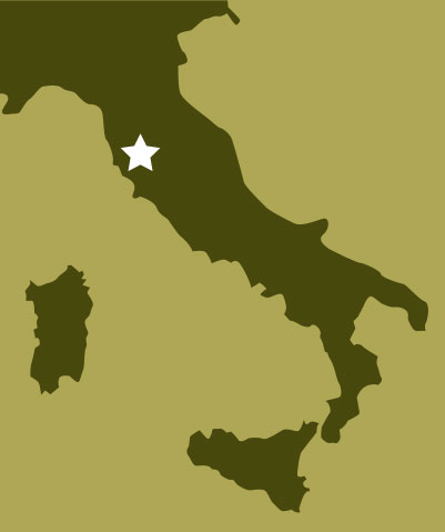 tuscany italy olive oil and wine tours